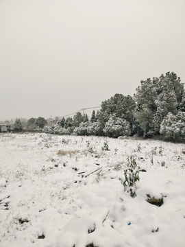 雪地