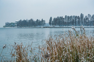 东湖雪景