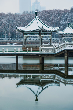 东湖雪景