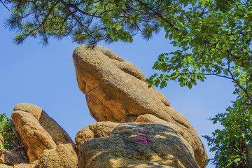 千山无量观七重天景点望天蛙奇石