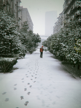 雪后脚印