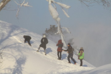 雪濛濛