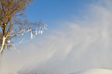 飞雪