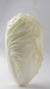 娃娃菜