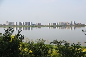 天津东丽湖湿地