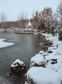 杨凌树木园雪景