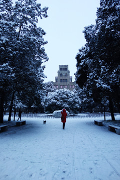 西北农林科技大学雪景