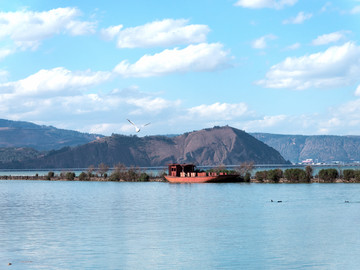 蓝天白云下的南滇池国家湿地公园