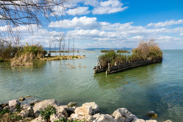 蓝天白云下的滇池湿地风光