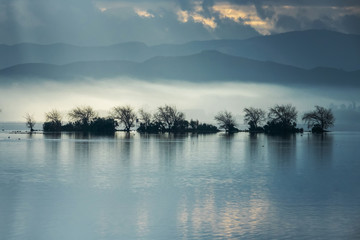 晨雾中的湖