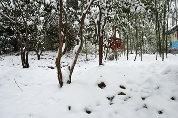 江南雪景