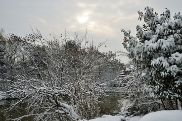 江南雪景