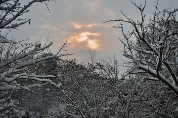 江南雪景