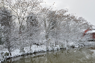 江南景雪