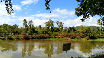 三亚学院风景图