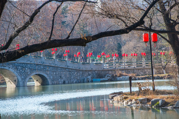 红灯高挂迎新年