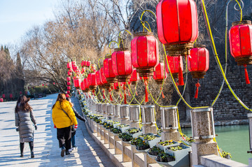 红灯高挂迎新年