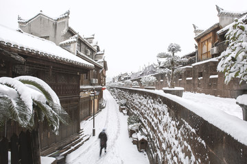 雪城独行