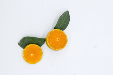 青香橘