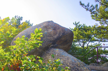 千山小黄山景区山顶鳌鱼石与松枝