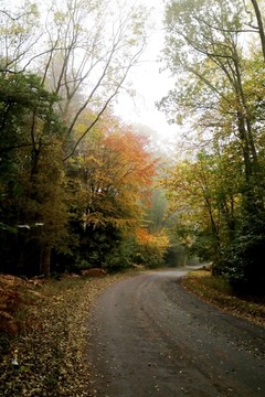 山间公路