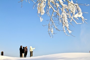 赏雪玩雪