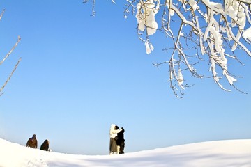 赏雪