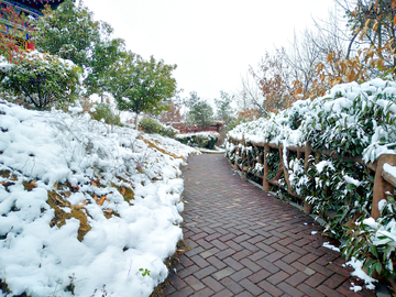 公园雪景