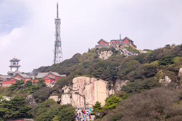 山东泰山