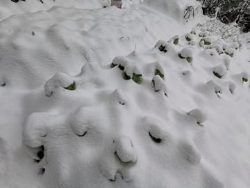 雪地风光