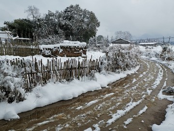 雪地风光