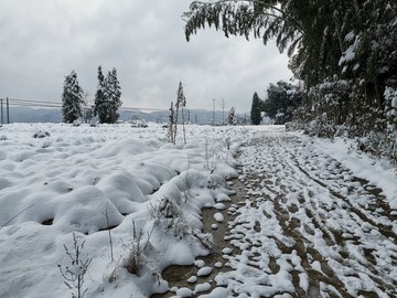 雪地风光