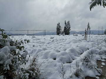 雪地风光