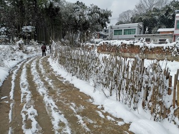 雪地风光