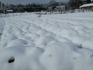 雪地风光