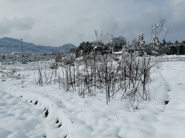 雪地风光