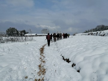 雪地风光