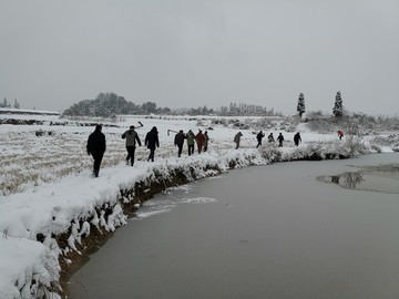 雪地