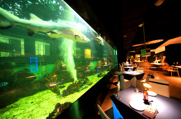 重庆天地亚洲鲨鱼餐厅