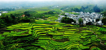 乡村风景