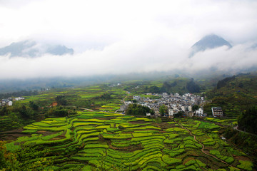 徽州春天风景