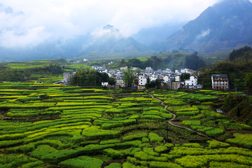 山村风光