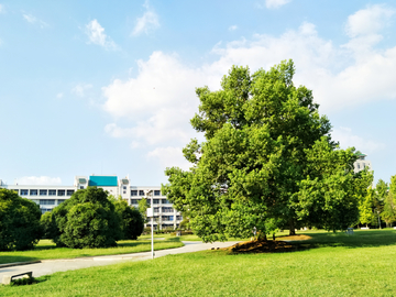 武汉大学校园