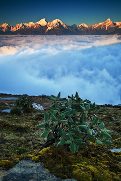 牛背山云海贡嘎雪山群峰日照金山