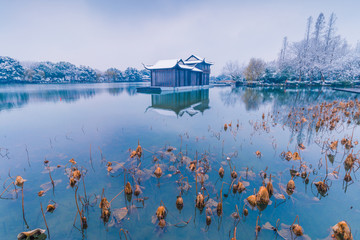 杭州西湖雪景曲院风荷