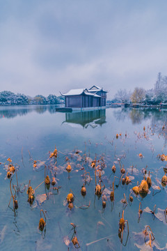 杭州西湖雪景曲院风荷