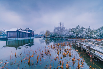 杭州西湖雪景曲院风荷