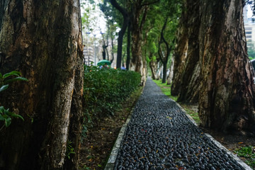 台湾