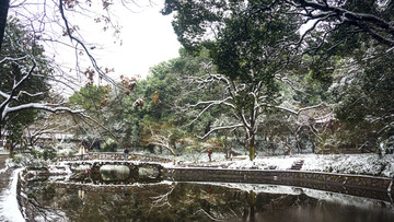 皑皑雪景