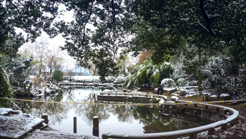 深冬雪景